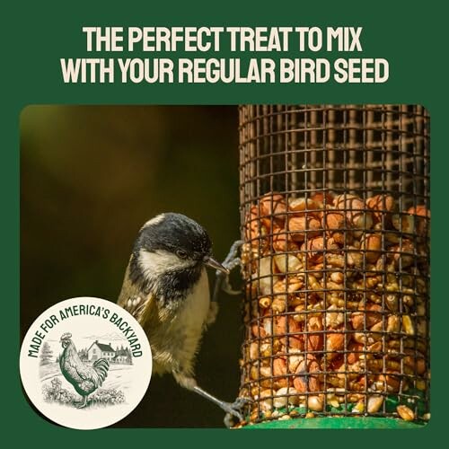 Bird eating from a seed-filled feeder with text promoting a bird seed treat.