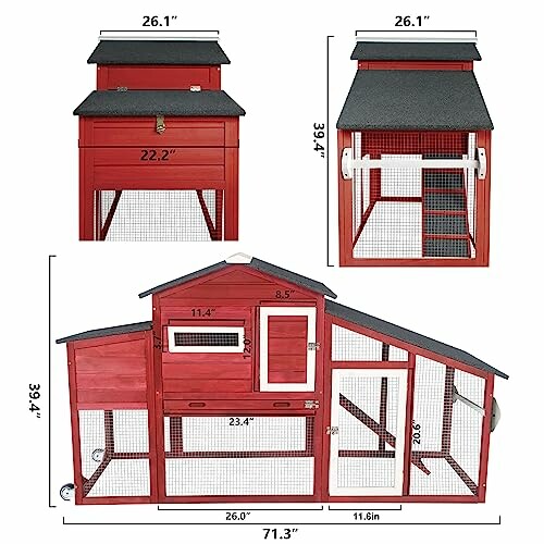 Wooden chicken coop with multiple sections and measurements.